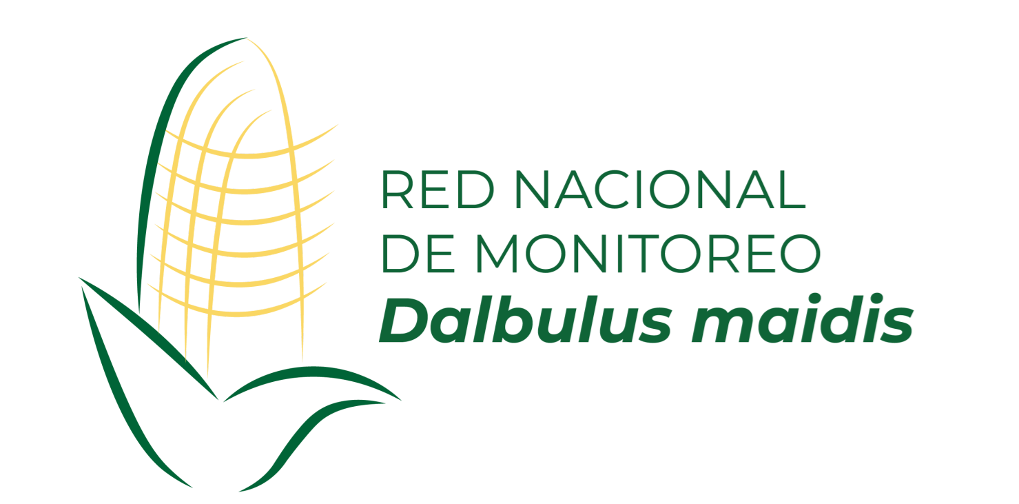 Dalbulus